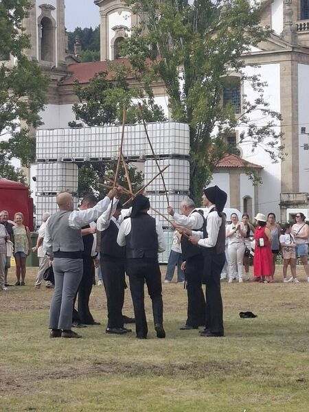 Ficheiro:Espinheiro 2026 2.jpg